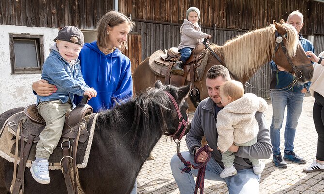 Familie rund ums Pony