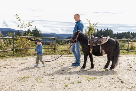 Kleiner Junge führt Pony